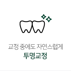 투명교정